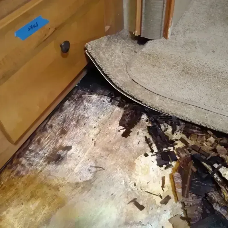 Best Wood Floor Water Damage Service in Lapel, IN